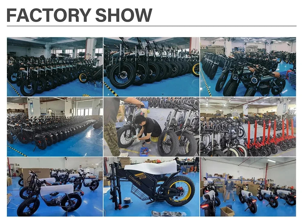 Coswheel T26 adult E-bike 500W 48V20Ah battery commute Electric Bike,26-inch Fat Tire E-Mountain bike