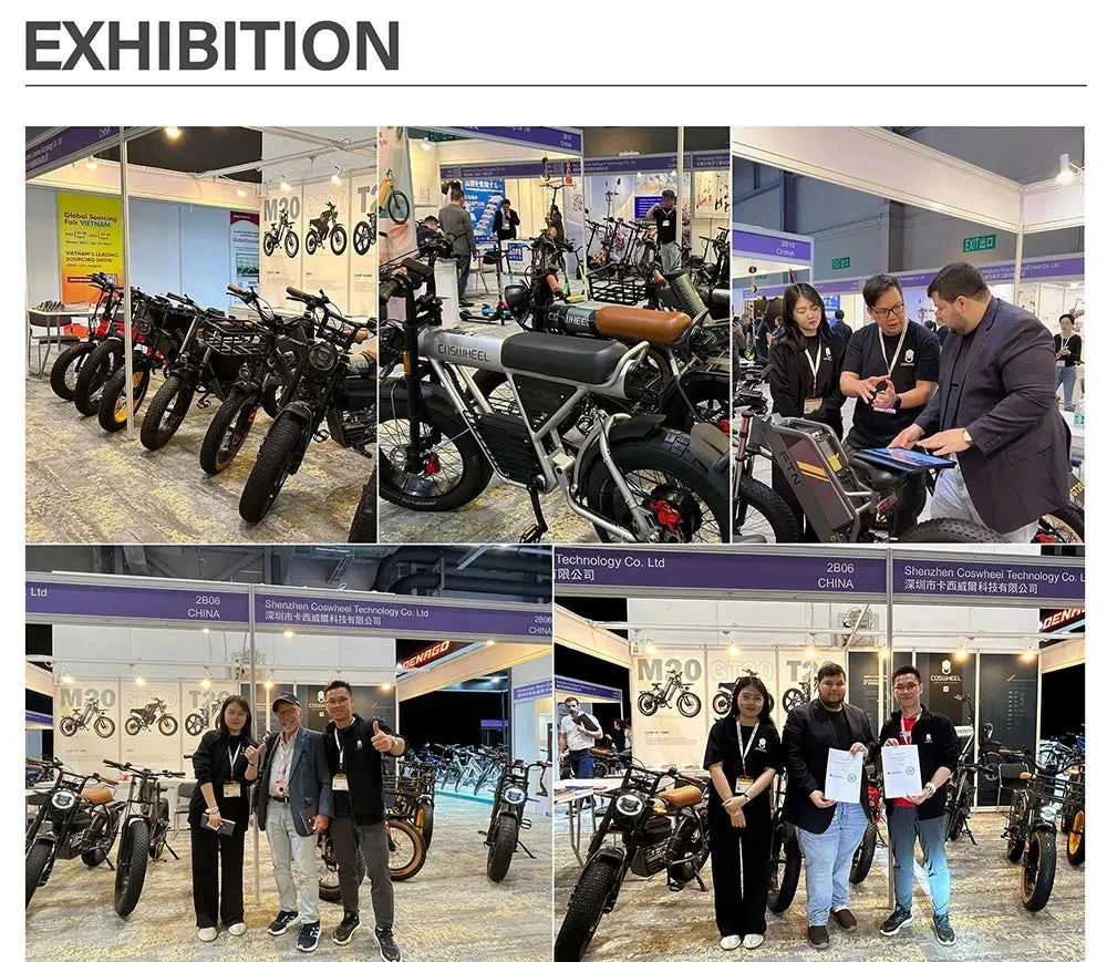 Coswheel T26 adult E-bike 500W 48V20Ah battery commute Electric Bike,26-inch Fat Tire E-Mountain bike